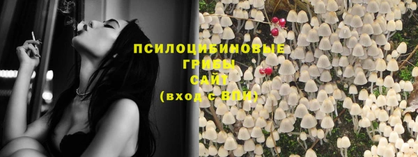 первитин Богданович